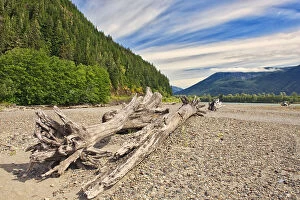 Images Dated 14th August 2023: Driftwood amd mountaine along the shoreline of the Skeena River East of Prince Rupert