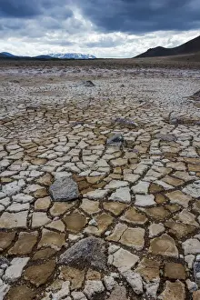 Drought Prints: Dry cracked muddy ground at Namafjall Hverir geothermal area, Myvatnssveit, Northeast