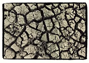 Drought Prints: Dry, cracked, parched earth in South Luangwa Valley National Park, Zambia