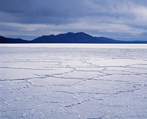 Salar De Uyuni Gallery: During the dry season
