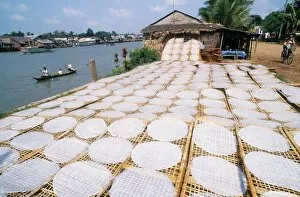 Indo China Gallery: Drying rice noodles in the sun beside the Mekong River in Sa Dec