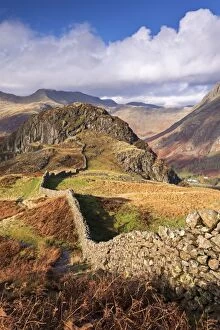Images Dated 3rd November 2014: Drystone wall on Lingmoor Fell in the Lake District, Cumbria, England. Autumn (November)