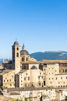 Marche Prints: Ducal Palace, Urbino, Marche, Italy, Europe