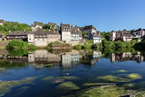 Limousin Prints: Ducks swim among the reeds on the Dordogne river