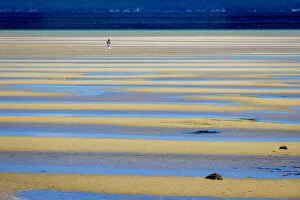 Tasmania Gallery: Dunalley Beach at low tide, Dunalley, Tasmania, Australia