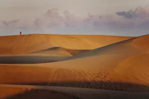 Images Dated 26th February 2020: Dunas de Maspalomas at sunset, Gran Canaria, Canaries