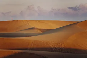 Images Dated 26th February 2020: Dunas de Maspalomas at sunset, Gran Canaria, Canaries