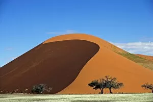 Sossusvlei Collection: Dune 45 under a clear blue sky near Sossusvlei, Namibia