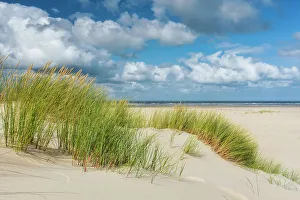 Norderney Prints: Dune at Beach, Norderney Island, North Sea, Ost Frisia, NP Wadden Sea, Germany, Europe