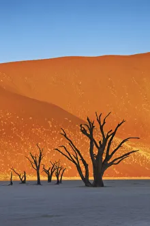 Dune impression with dead trees in Dead Vlei - Namibia, Hardap, Namib
