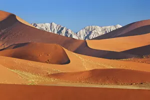 Orange Gallery: Dune impression in Namib - Namibia, Hardap, Namib, Sossus Vlei - Namib Naukluft National