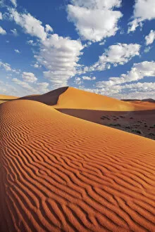 Images Dated 1st March 2021: Dune impression in Namib - Namibia, Hardap, Namib, Sossus Vlei - Namib Naukluft National