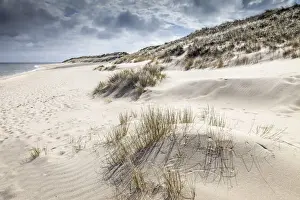 Dune landscape in the Ellenbogen nature reserve near List, Sylt, Schleswig-Holstein