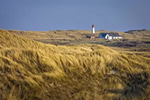 Dune landscape with List-West lighthouse in the Ellenbogen nature reserve, Sylt