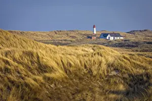 Schleswig Holstein Prints: Dune landscape with List-West lighthouse in the Ellenbogen nature reserve, Sylt