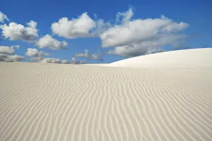 Australian Gallery: Dune landscape near Cervantes - Australia, Western Australia, Midwest