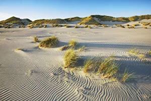 Sand Dune Gallery: Dune landscape und dune grasses - Germany, Schleswig-Holstein, North Frisia, Amrum, Kniepsand