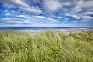 Northumberland Prints: Dune landscape - United Kingdom, England, Northumberland, Druridge