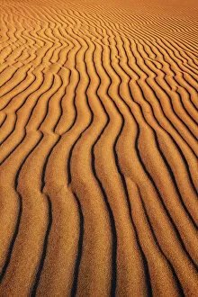 Sand Desert Collection: Dune structures - Namibia, Hardap, Namib, Sossus Vlei - Namib Naukluft National Park