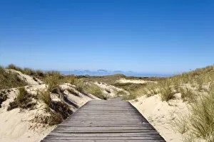 Images Dated 4th April 2011: Dunes, Amrum Island, North Frisian Islands, Schleswig Holstein, Germany