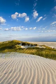 Images Dated 28th April 2014: Dunes, Amrum Island, Northern Frisia, Schleswig-Holstein, Germany