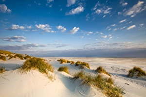 Images Dated 28th April 2014: Dunes, Amrum Island, Northern Frisia, Schleswig-Holstein, Germany
