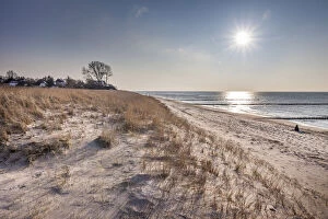 Ahrenshoop Gallery: Dunes on the beach in Ahrenshoop, Mecklenburg-Western Pomerania, Northern Germany