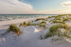 Dunes Gallery: Dunes on Dueodde Beach, Bornholm, Denmark