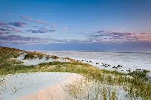 Images Dated 28th April 2014: Dunes at dusk, Amrum Island, Northern Frisia, Schleswig-Holstein, Germany