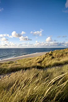 Landcape Prints: Dunes, List, Sylt Island, North Frisian Islands, Schleswig Holstein, Germany
