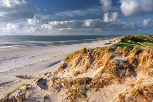 Amrum Prints: Dunes at National Park Schleswig-Holsteinisches Wattenmeer