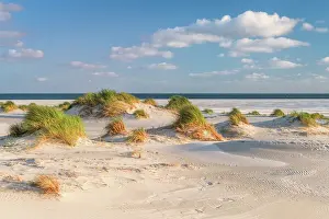 Amrum Prints: Dunes at National Park Schleswig-Holsteinisches Wattenmeer