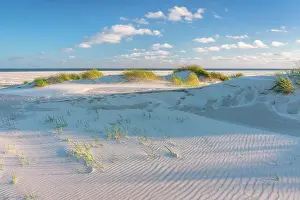 Amrum Prints: Dunes at National Park Schleswig-Holsteinisches Wattenmeer