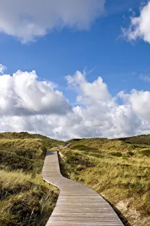 Schleswig Holstein Prints: Dunes near Kampen, Sylt Island, North Frisian Islands, Schleswig Holstein, Germany