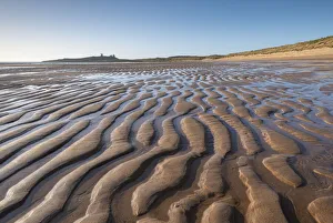 Dunstanburgh Prints: Dunstanburgh Castle across a pristine, sandy Embleton Bay, Northumberland, England