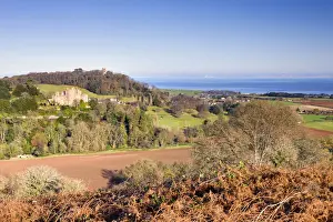 Dunster Castle and Conygar Tower, Exmoor National Park, Somerset, England