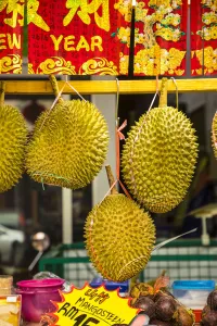 George Town Prints: Durian fruit, George Town, Penang Island, Malaysia