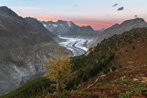 Wallis Prints: Dusk above the Aletsch glacier seen from Hohfluh viewpoint