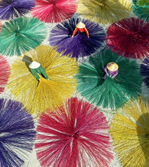 Hoi An Prints: Dyed sedge for sleeping mats being laid out to dry in the sun, Hoi An, Central Vietnam