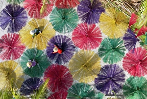 Vietnamese Prints: Dyed sedge for sleeping mats being laid out to dry in the sun, Hoi An, Central Vietnam