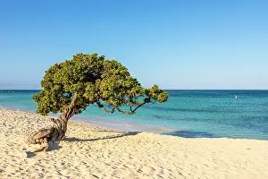 Kav Dadfar Prints: Eagle Beach, Oranjestad, Aruba