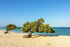 Eagle Beach Prints: Eagle Beach, Oranjestad, Aruba