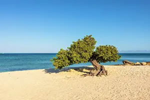 Kav Dadfar Prints: Eagle Beach, Oranjestad, Aruba