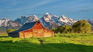 Western Prints: Early light on T.A. Moulton Barn, Mormon Row, Grand Teton National Park, Wyoming, USA