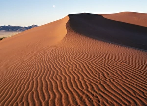 Deserted Collection: In early morning light