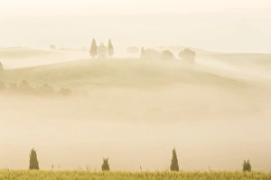 Early Morning Prints: Early morning mist, Cappella di Vitaleta, Chapel, Val d Orcia, Tuscany, Italy
