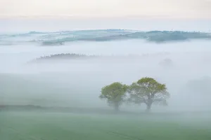 Mid Devon Prints: Early morning mist over countryside, mid Devon, England. Spring (April) 2025