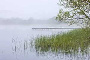Early Prints: Early morning mist shrouds Llangorse Lake in the Brecon Beacons National Park