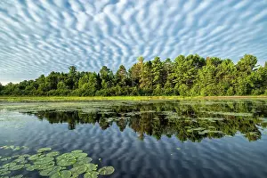 Algonquin Prints: Early morning reflections on Lake Travers in Algonquin Provincial Park, Ontario, Canada