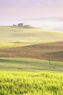 Val Dorcia Prints: Early morning in the Val D'orcia, Tuscany, Italy